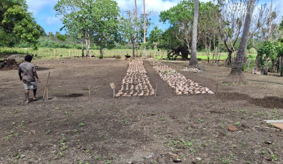 WhatsApp Image 2025-09-17 at 09.55.55_c81b3146