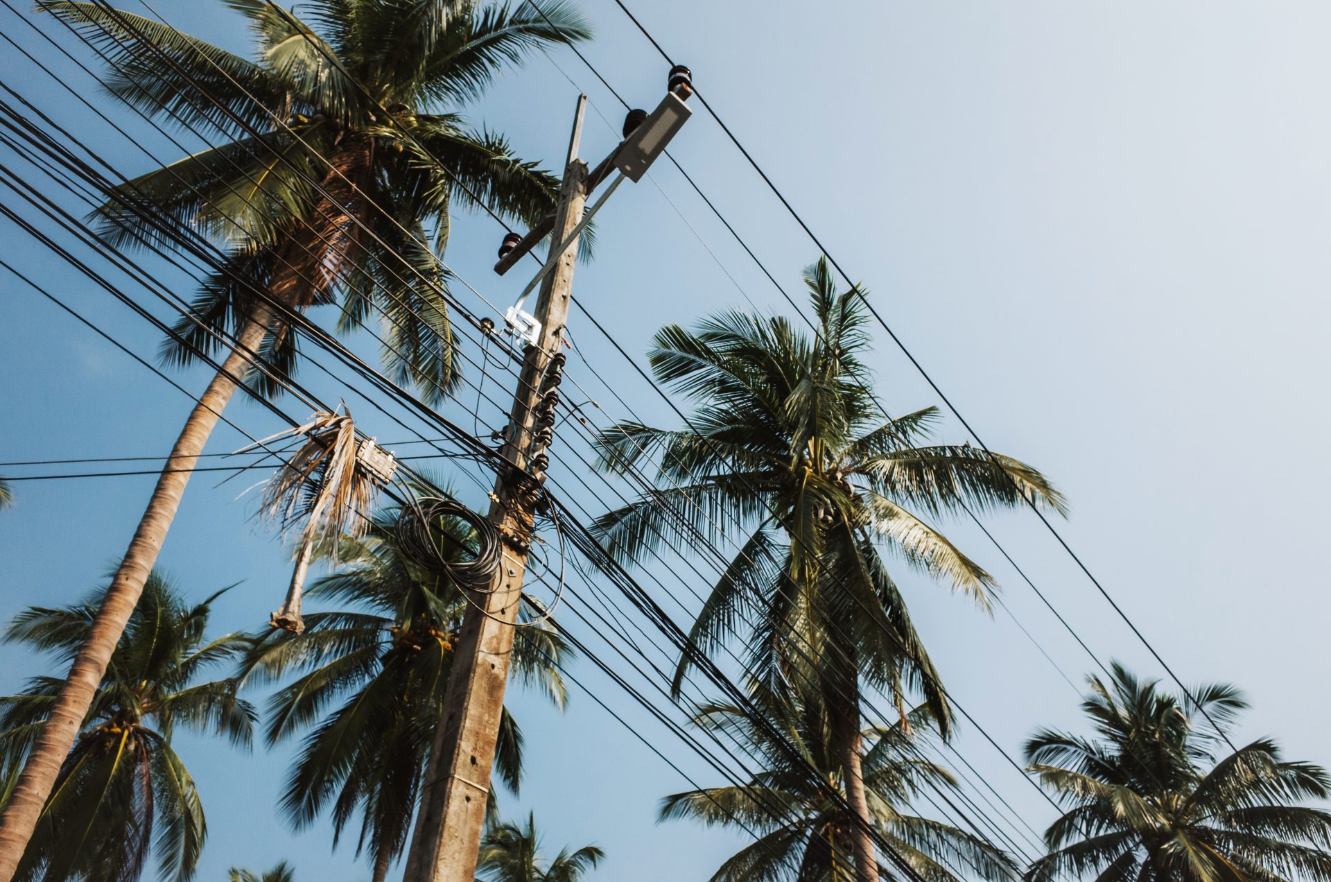 low-angle-view-palm-trees-electric-plyon-against-sky