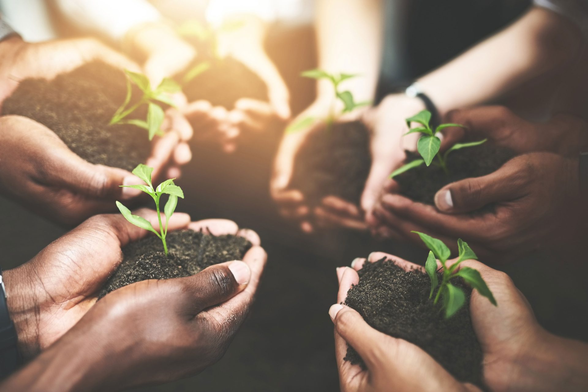 eco-cover-cno-to-future-fund