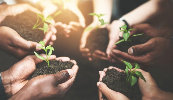 eco-cover-cno-to-future-fund